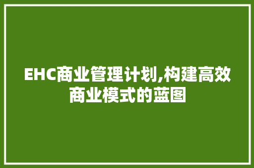 EHC商业管理计划,构建高效商业模式的蓝图