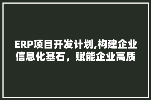 ERP项目开发计划,构建企业信息化基石，赋能企业高质量发展