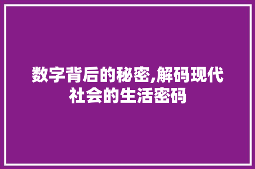 数字背后的秘密,解码现代社会的生活密码