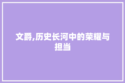 文爵,历史长河中的荣耀与担当