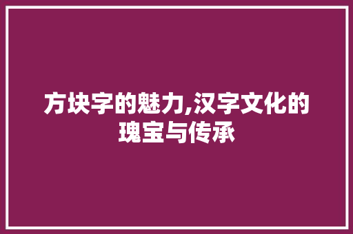 方块字的魅力,汉字文化的瑰宝与传承
