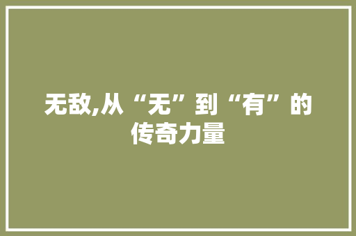 无敌,从“无”到“有”的传奇力量