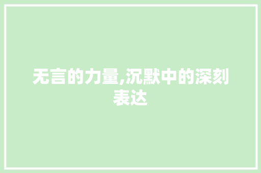 无言的力量,沉默中的深刻表达