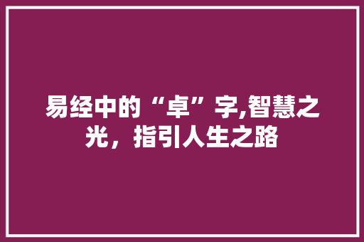 易经中的“卓”字,智慧之光，指引人生之路