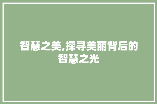 智慧之美,探寻美丽背后的智慧之光