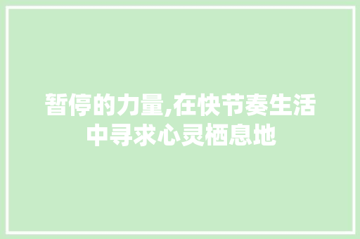 暂停的力量,在快节奏生活中寻求心灵栖息地