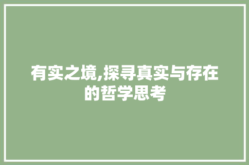 有实之境,探寻真实与存在的哲学思考