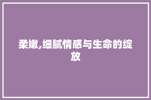 柔嫩,细腻情感与生命的绽放