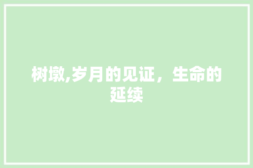树墩,岁月的见证，生命的延续