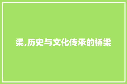 梁,历史与文化传承的桥梁