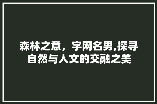 森林之意，字网名男,探寻自然与人文的交融之美