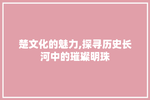 楚文化的魅力,探寻历史长河中的璀璨明珠