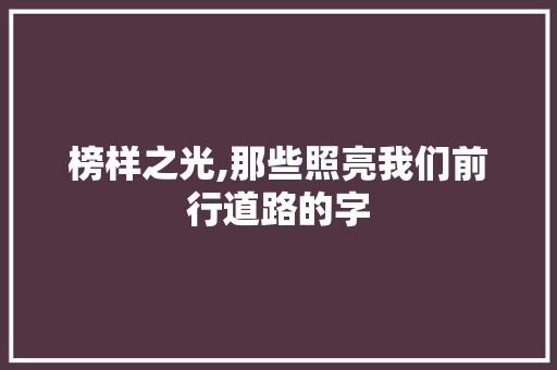 榜样之光,那些照亮我们前行道路的字