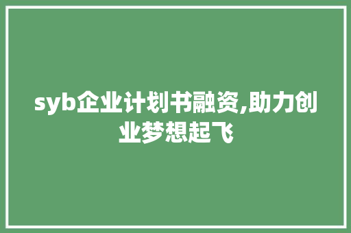 syb企业计划书融资,助力创业梦想起飞