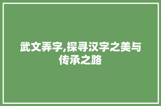 武文弄字,探寻汉字之美与传承之路
