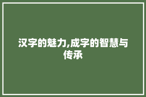 汉字的魅力,成字的智慧与传承
