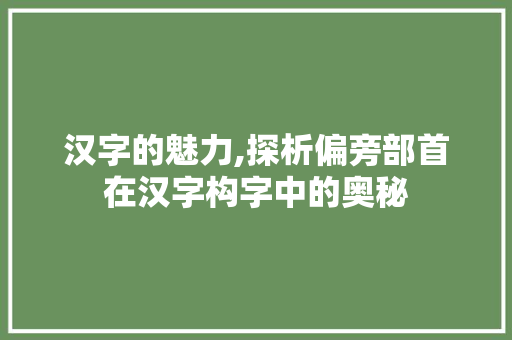 汉字的魅力,探析偏旁部首在汉字构字中的奥秘