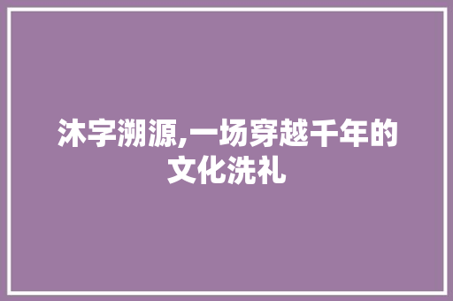 沐字溯源,一场穿越千年的文化洗礼