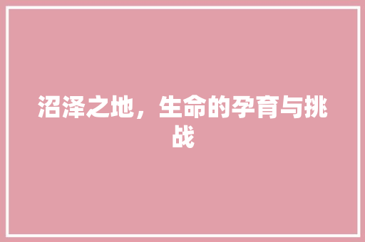 沼泽之地，生命的孕育与挑战