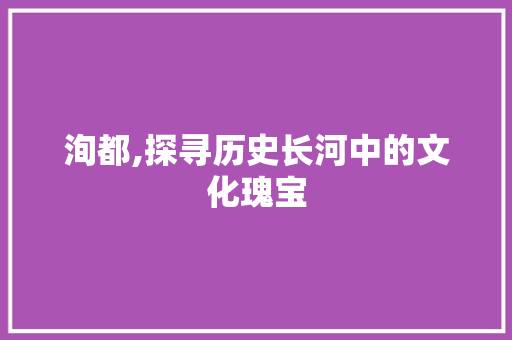 洵都,探寻历史长河中的文化瑰宝