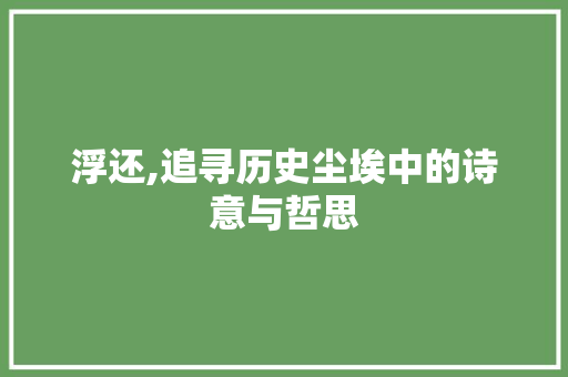 浮还,追寻历史尘埃中的诗意与哲思