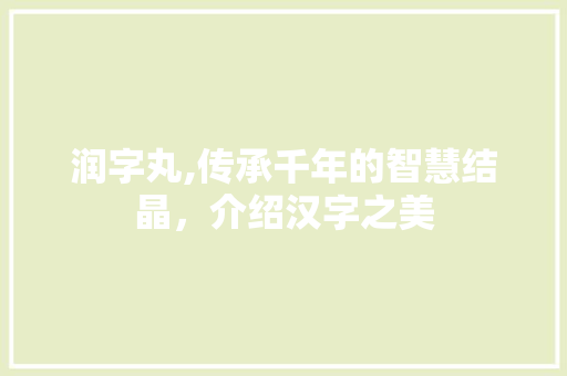 润字丸,传承千年的智慧结晶，介绍汉字之美