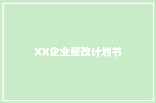 XX企业整改计划书
