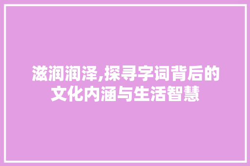滋润润泽,探寻字词背后的文化内涵与生活智慧