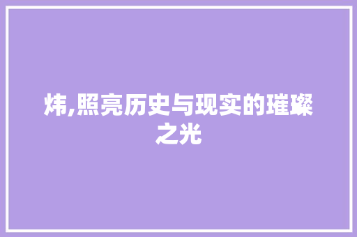 炜,照亮历史与现实的璀璨之光