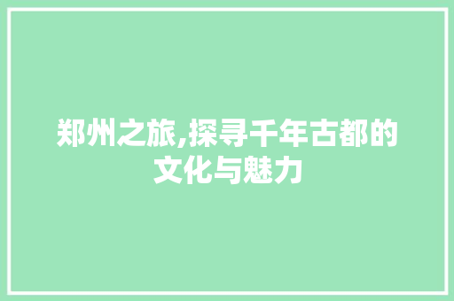 郑州之旅,探寻千年古都的文化与魅力