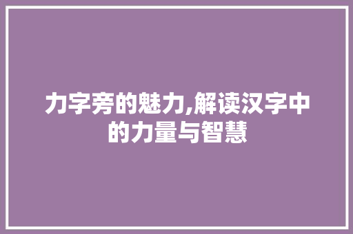 力字旁的魅力,解读汉字中的力量与智慧