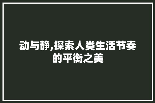 动与静,探索人类生活节奏的平衡之美