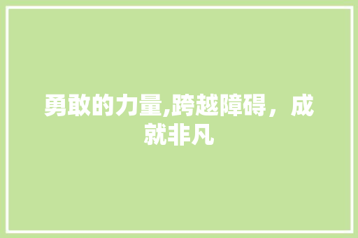 勇敢的力量,跨越障碍，成就非凡