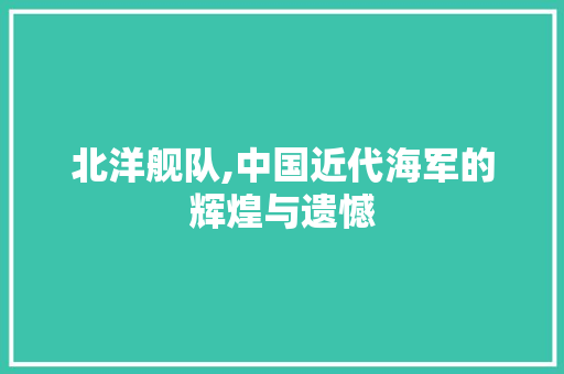 北洋舰队,中国近代海军的辉煌与遗憾