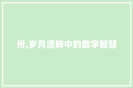 卅,岁月流转中的数字智慧