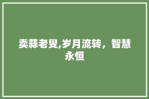 卖蒜老叟,岁月流转，智慧永恒