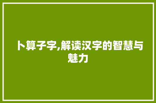 卜算子字,解读汉字的智慧与魅力