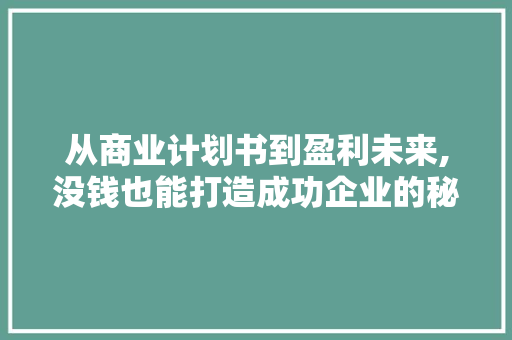 从商业计划书到盈利未来,没钱也能打造成功企业的秘密