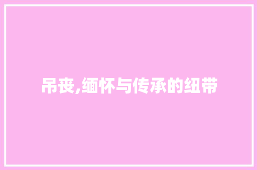 吊丧,缅怀与传承的纽带