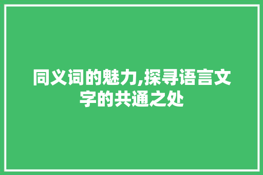 同义词的魅力,探寻语言文字的共通之处