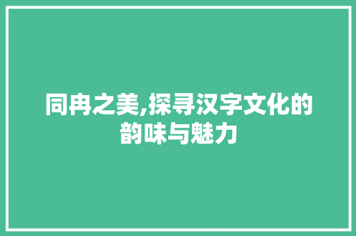 同冉之美,探寻汉字文化的韵味与魅力