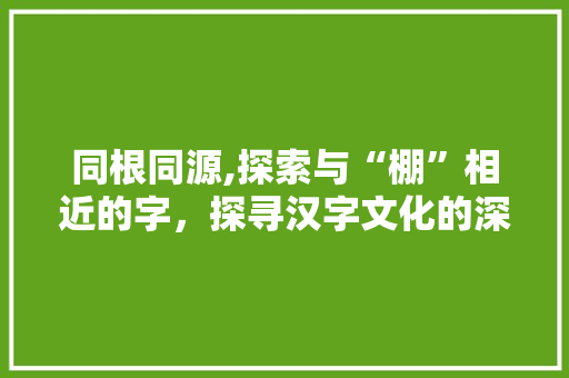 同根同源,探索与“棚”相近的字，探寻汉字文化的深厚底蕴