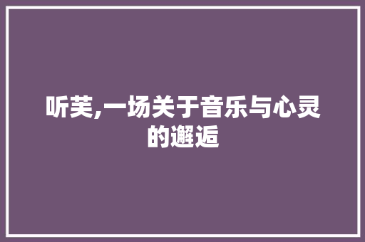 听芙,一场关于音乐与心灵的邂逅