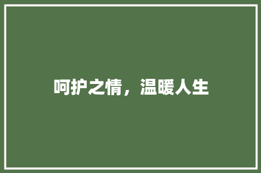 呵护之情，温暖人生