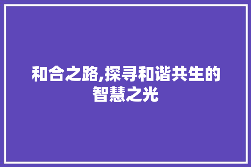和合之路,探寻和谐共生的智慧之光