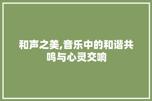 和声之美,音乐中的和谐共鸣与心灵交响