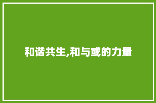 和谐共生,和与或的力量
