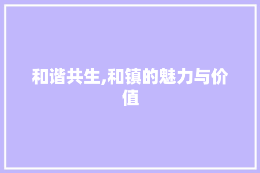 和谐共生,和镇的魅力与价值