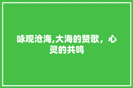 咏观沧海,大海的赞歌，心灵的共鸣