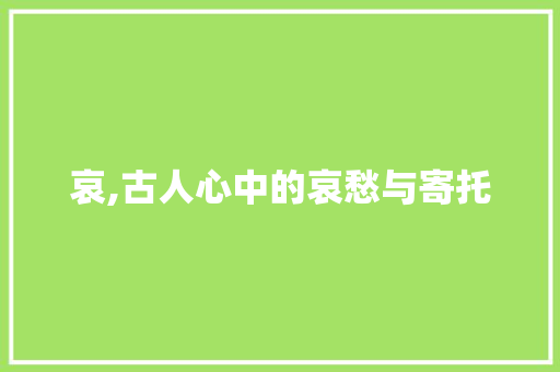 哀,古人心中的哀愁与寄托